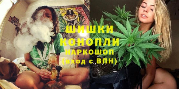 прущая мука Няндома