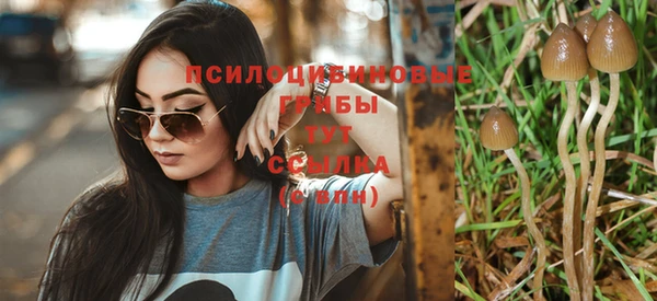 марки nbome Лабытнанги