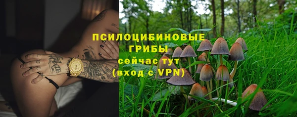 apvp Лагань