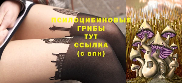 марки nbome Нязепетровск