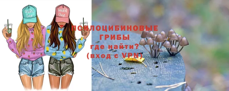 Псилоцибиновые грибы Magic Shrooms blacksprut сайт Реутов