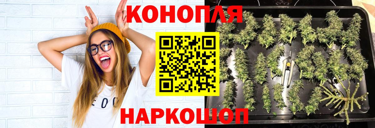 Канабис VHQ  Вход с VPN  Реутов  Марихуана индика 